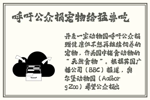 九一果冻制品厂电视剧